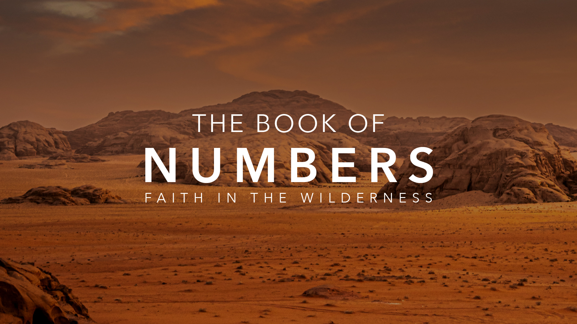 The Book of Numbers