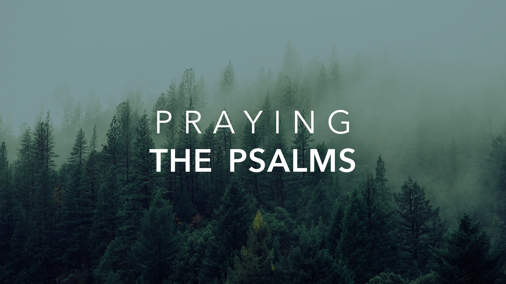 PrayingThePsalms_16to9_Graphics Praying the Pslams